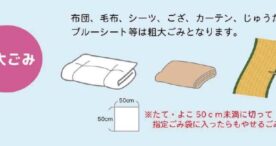 ６月は環境月間！沖縄市が新しいごみ分別ルールを改めて呼びかけ！